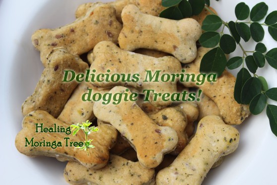 Moringa dog biscuit treats!